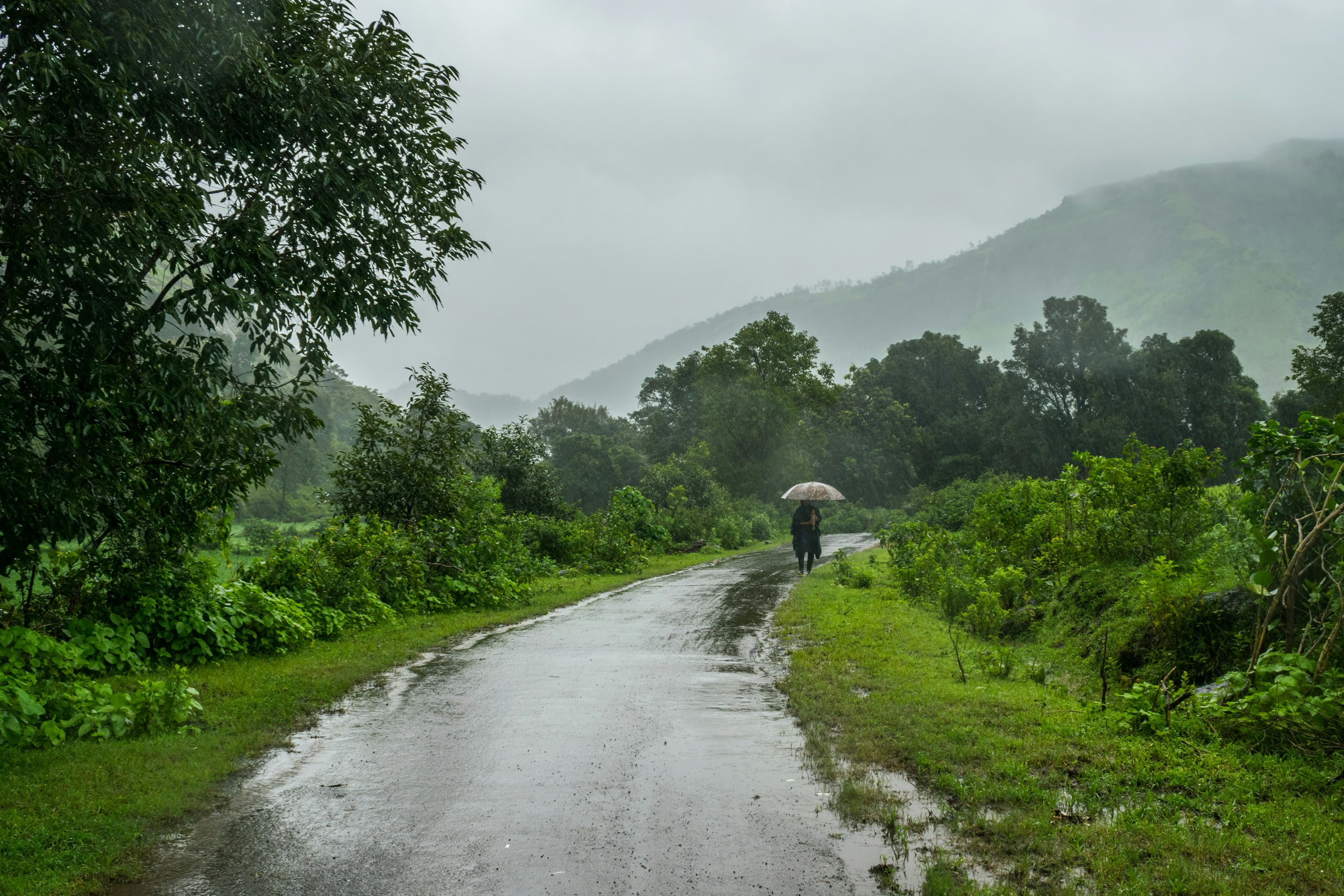 Mountains